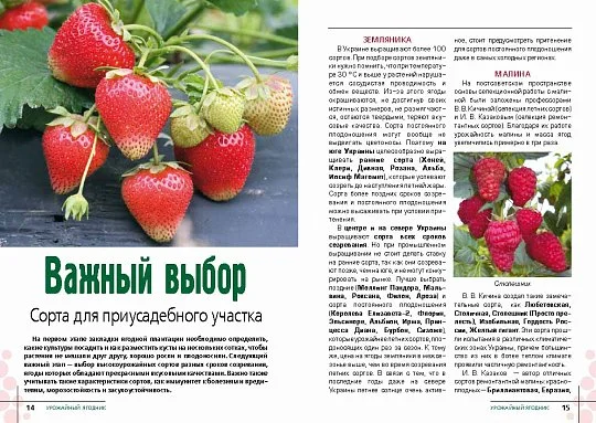 Урожайный ягодник: практическое пособие - Фото 4