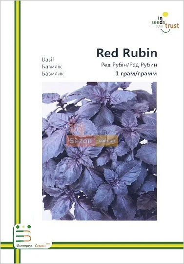 Базилик Ред Рубин фиолетовый 1 г европакет, Империя Семян - Фото 2
