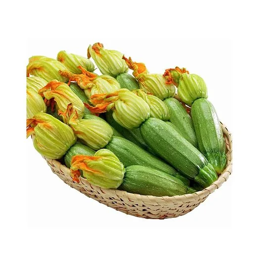 Кабачок Карамболь F1 500 семян цуккини ранний, Unigen Seeds