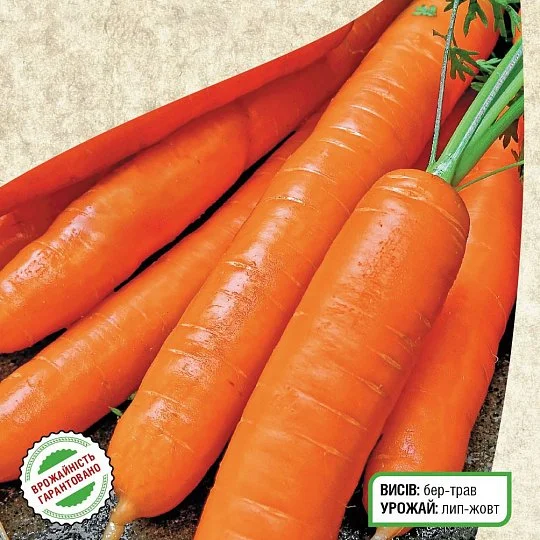 Морковь Натофи среднепелая 500 г, Satimex - Фото 2