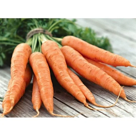 Морковь Карини 500 г ранняя, Bejo Zaden