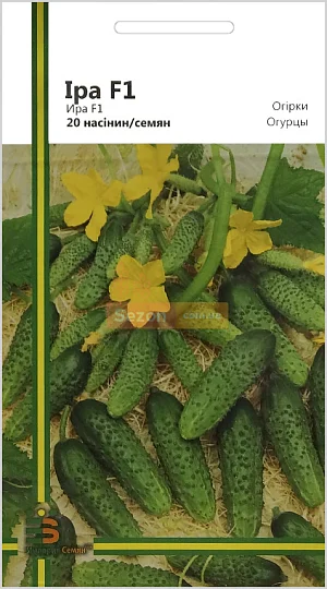 Огурец Ира F1 20 семян партенокарпический среднеспелый, Империя Семян - Фото 2