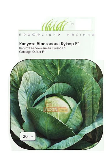 Капуста Куизор F1 20 семян белокочанная среднеранняя, Syngenta - Фото 5