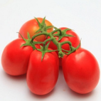 Томат Монти F1 1000 семян для переработки кустовой среднепоздний, Seminis