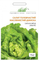 Салат Джиска 15 дражованого насіння качаний маслянистий, Rijk Zvaan