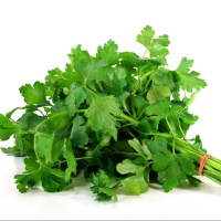 Петрушка Гіганте де Італія 500 г листова, de Saat