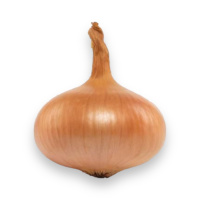 Цибуля Штутгартен 1 кг на вагу, Агролінія