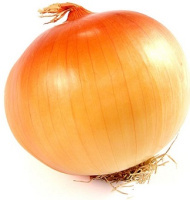 Цибуля Екстра Ерлі Голд F1 100000 насінин ріпчастий озимий ранній, Unigen Seeds