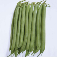 Квасоля Страйк 500 г ранкова спаржева, May Seed