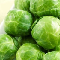 Капуста Франклин F1 1000 семян брюссельская ранняя, Bejo Zaden