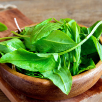 Широколистий щавель 1 г