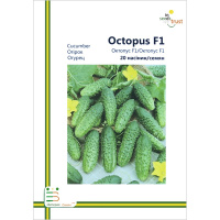 Огурец Октопус F1 пчелоопыляемый среднеспелый 20 семян европакет, Империя Семян