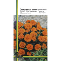 Отклоненные низкие бархатцы 0,5 г оранжевые, Империя семян