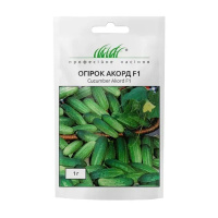 Огурец Аккорд F1 1 г пчелоопыляемый, Bejo Zaden