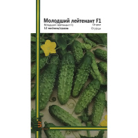 Огурец Младший лейтенант F1 12 семян партенокарпический ранний, Империя Семян