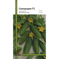 Огурец Самородок F1 20 семян пчелоопыляемый ранний, Империя Семян