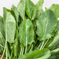 Щавель Широколистий на вагу, Агролінія