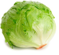 Салат Фіорет 1000 драженого насіння айсберг, Rijk Zvaan