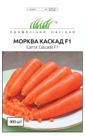Морковь Каскад F1 0,5 г поздняя, Bejo Zaden