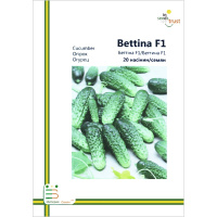 Огурец Бетина F1 партенокарпический ранний 20 семян европакет, Империя Семян