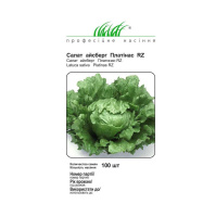 Салат Платінас тип айсберг 100 насіння дражовані, Rijk Zvaan