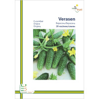 Огурец Верасень F1 пчелоопыляемый среднеспелый 20 семян европакет, Империя Семян