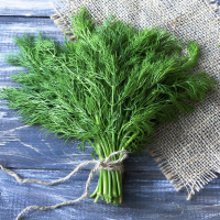 Кріп Форест 1 г кущовий, Hem Zaden