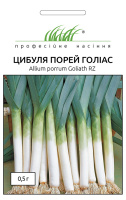 Лук-порей Голіас 0,5 г пізній, Rijk Zvaan
