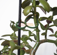 Крепления для подвязки растений 25 шт