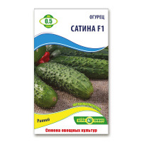 Огурец Сатина F1 0,5 г, Агролиния