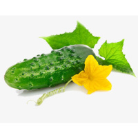 Защита ОГУРЦА на одну сотку сезонный набор препратов