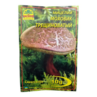 Мицелий Моховик Трещиноватый 10 г, Насіння Країни
