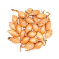 Лук севок арбажейка Трой 500 г, Broer