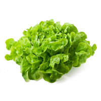 Салат Листовий зелений на вагу, Агролінія