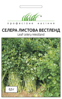 Селера Вестленд 0,5 г листовий середньостиглий, Hем Zaden