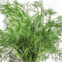 Кроп Супердукат на вагу, Агролінія