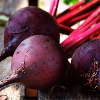 Свекла Детройт-2 500 г среднеранняя столовая, de Saat