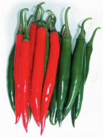 Перець Біг Дедді F1 500 насіння гострий середньостиглий, Nong Woo Bio