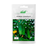 Огурец Соната F1 1 г, Rijk Zwaan