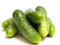 Огурец Криспина F1 1000 семян партенокарпический ранний, Nunhems Zaden