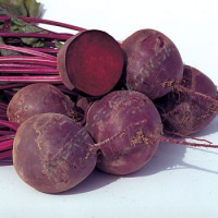 Свекла Водан F1 50000 шт столовая округлая раннеспелая, Bejo Zaden