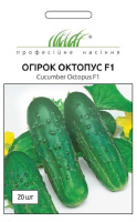 Огурец Октопус F1 20 семян пчелоопыляемый среднеспелый, Syngenta