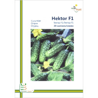 Огурец Гектор F1 пчелоопыляемый ультраранний 20 семян европакет, Империя Семян