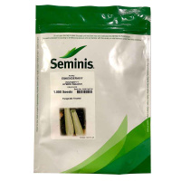 Купить семена кабачок искандер f1 1000 семян кустовой ранний, semenis в интернет-магазине Sezon Кабачок Искандер F1 1000 семян кустовой ранний, Semenis