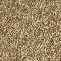 Трава газонна універсальна вагова, ТМ ВАССМА