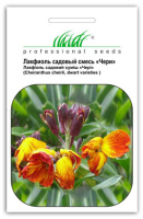 Лакфиоль садовый Чери 0,5 г смесь, Hем Zaden