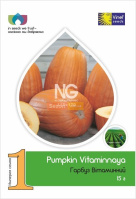 Гарбуз Вітамінний 15 г пізньостиглий, Vinel' Seeds