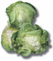 Капуста Сантамария F1 2500 семян цветная среднеспелая, Rijk Zvaan