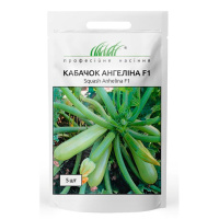 Кабачок Ангелина F1 5 шт, Syngenta