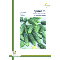 Огурец Спринт F1 пчелоопыляемый среднеспелый 20 семян европакет, Империя Семян